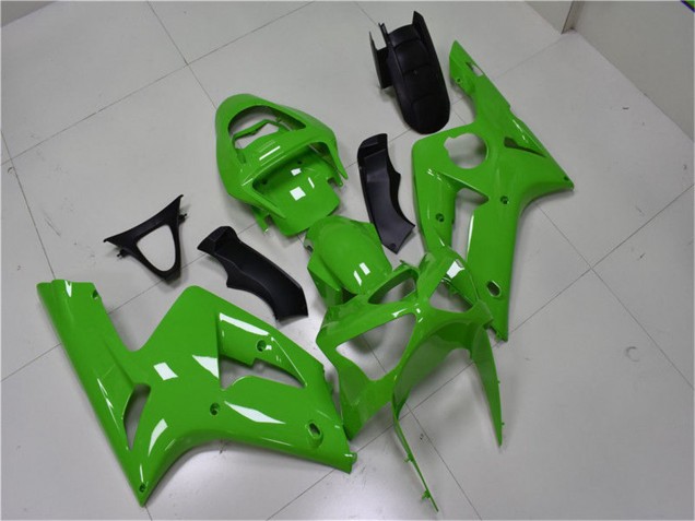 Green 2003-2004 Kawasaki ZX6R Motorcycle Fairing