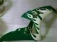 White Green Flame 2006-2007 Honda CBR1000RR Motorcycle Fairings