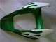 White Green Flame 2006-2007 Honda CBR1000RR Motorcycle Fairings