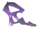 Chameleon Grey Dazz Pearl Purple 2000-2001 Honda CBR900RR 929 Motorcycle Fairings