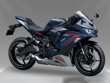 Blue Red Grey 2019-2025 Kawasaki ZX25R ZX-25R Motorcycle Fairing