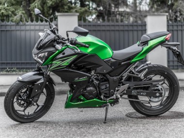 Green Matte Black 2015-2016 Kawasaki Z250/Z300 Motorcycle Fairing Kits