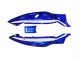 Blue White Black 1996-2007 Yamaha YZF600R Thundercat Motorcycle Fairings