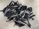 Glossy Black Carbon Fiber 2023-2024 BMW S1000RR Motorcycle Fairings