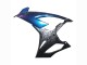 Gradient Blue Purple Forged Carbon Fiber 2019-2022 BMW S1000RR Motorcycle Fairings