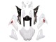 White 2014-2016 BMW S1000R Motorcycle Fairings