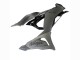 Grey Ninja 2023-2025 Kawasaki ZX6R Motorcycle Fairings