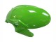 Green Black 2023-2025 Kawasaki ZX6R Motorcycle Fairings