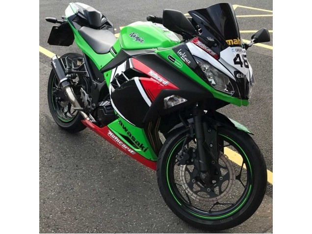 Green White Red Black Elf 2013-2024 Kawasaki EX300 Motorcycle Fairings