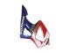 Silver Red Blue 2000-2001 Honda CBR900RR 929 Motorcycle Fairings