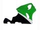 White Green Black 1996-2003 Kawasaki ZX7R Motorcycle Fairings