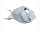Pearl White 2004-2005 Honda CBR1000RR Motorcycle Fairings