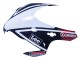 White Red Blue Black Star Lee Carrera 2008-2011 Honda CBR1000RR Motorcycle Fairings