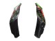 Green Black Red 2021-2025 Kawasaki ZX10R Motorcycle Fairings
