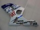White Blue Red Fiat 2003-2004 Kawasaki ZX6R Motorcycle Fairings