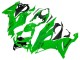 Green 2019-2022 Kawasaki ZX6R Motorcycle Fairings