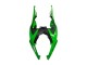 Green 2019-2022 Kawasaki ZX6R Motorcycle Fairings