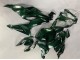 Dark Green 2019-2022 Kawasaki ZX6R Motorcycle Fairings