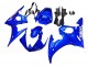 Blue 2003-2004 Yamaha YZF R6 Motorcycle Fairing