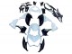 White Glossy Black Green 2013-2018 Kawasaki Z800 Motorcycle Fairings