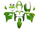 Green Flame 2000-2001 Kawasaki ZX9R Motorcycle Fairings