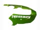 Green Flame 2000-2001 Kawasaki ZX9R Motorcycle Fairings