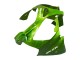 Green Flame 2000-2001 Kawasaki ZX9R Motorcycle Fairings